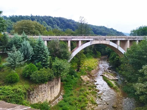 تصویر 28 - ویلا جنگلی آرامش  در  شیرگاه