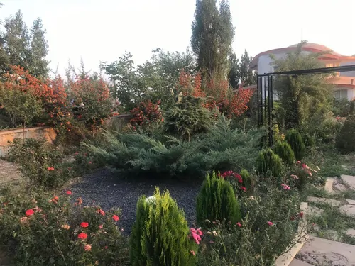 تصویر 25 - ویلا لوکس باغ استخردار آرامیس در  دماوند