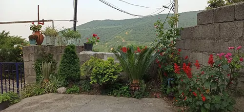 تصویر 21 - ویلا چشم انداز جنگلی دالخانی حسنی در  رامسر