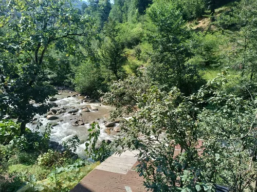 تصویر 2 - آپارتمان ویلای جنگلی لب رودخانه و کوهای هیرکانی در اسالم