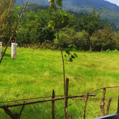 تصویر 3 - ویلا ویلا بی‌نظیر  در ماسال