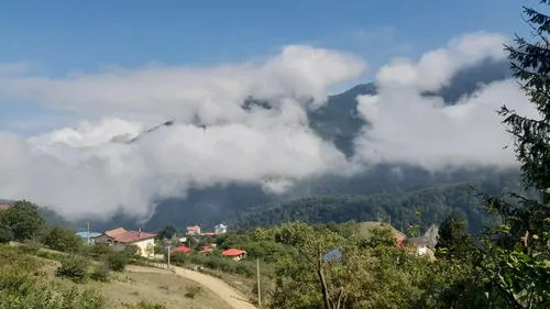 تصویر 11 - کلبه چوبی بابران در جواهرده