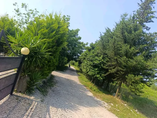 تصویر 21 - کلبه سوئیسی هانیه در  عباس آباد