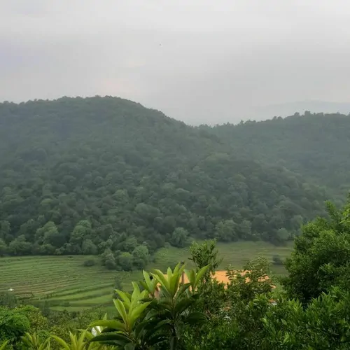 تصویر 2 - کلبه کلبه سرای عشق لفور در لفور