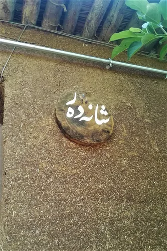 تصویر 3 - اقامتگاه بوم‌گردی شانه دره در مریوان