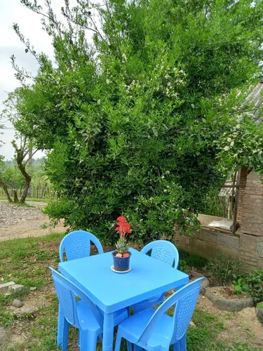 تصویر 2 - اقامتگاه بوم‌گردی اقامتگاه مادربزرگ در دل جنگل در رشت