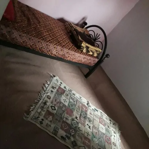 تصویر 4 - ویلا خانه ی اجاره ای  در رویان