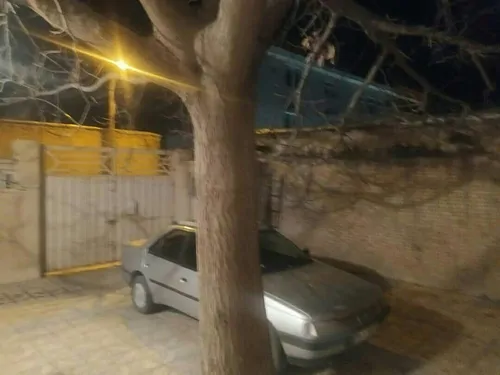 تصویر 3 - خانه علی در شهرکرد