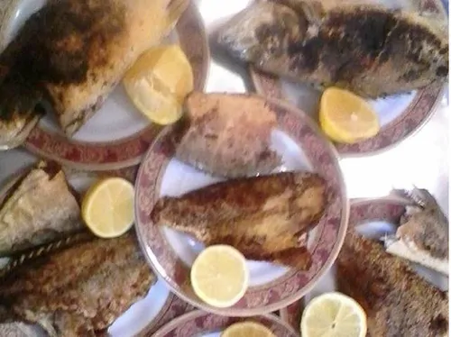 تصویر 10 - اقامتگاه بوم‌گردی علیشاهی (25 متری) در  قشم