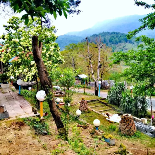 تصویر 15 - ویلا جنگلی سامان در  شفت