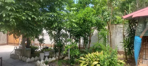 تصویر 14 - سوییت ویلایی ایلیاران در  خمام
