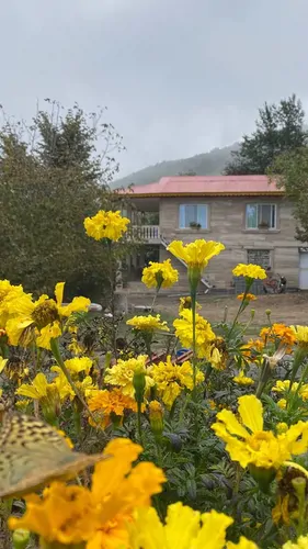 تصویر 5 - ویلا  ویلایی زیبا روستای شیرکدہ  در  رستم آباد