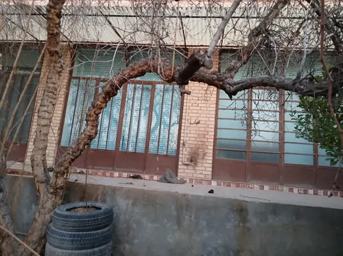 تصویر 4 - ویلا خانه باغ ویلایی در یزد
