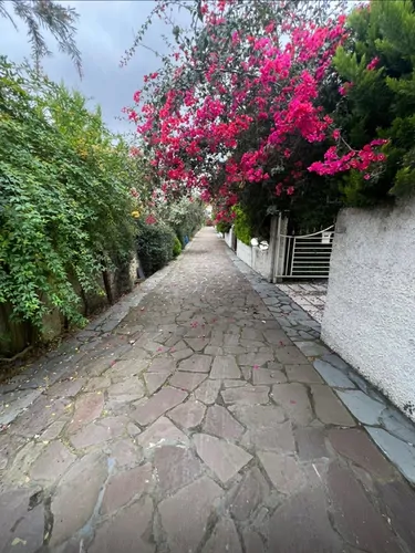 تصویر 8 - ویلا موسویان در نوشهر