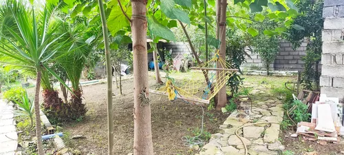 تصویر 3 - ویلا ریکا جان در رودسر