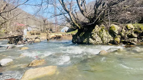 تصویر 13 - کلبه سوییسی روار در ماسال