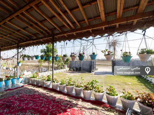تصویر 2 - ویلا جنگلی جهانی در ماسال