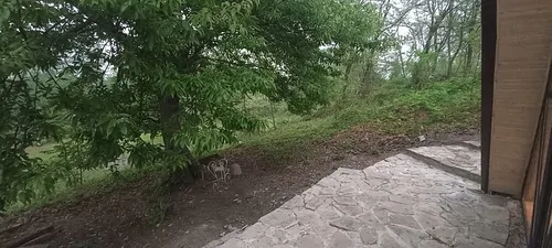 تصویر 11 - کلبه سوییسی جنگلی دلدار  در  سیاهکل