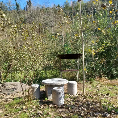 تصویر 10 - کلبه چوبی جنگلی وارش در بابل