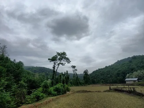تصویر 22 - کلبه جنگلی گیل آوا  در  رستم آباد