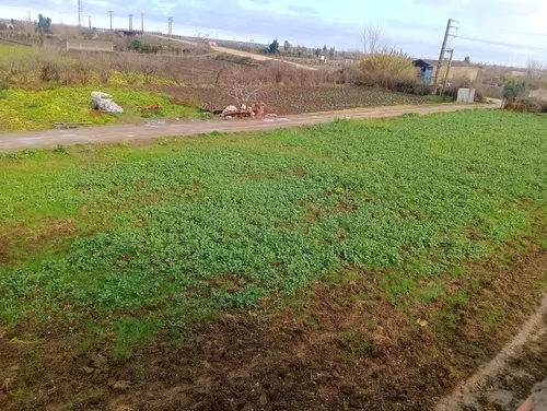 تصویر 14 - ویلا هیرکانی در  بهشهر