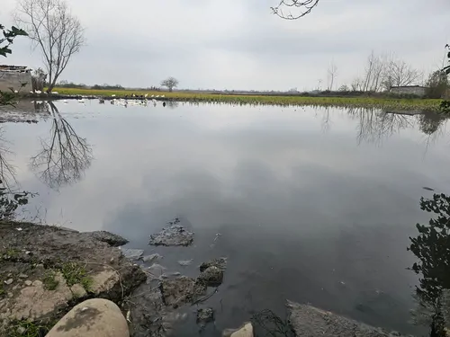 تصویر 12 - ویلا گلسار در  رشت