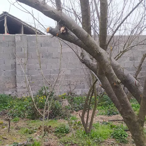 تصویر 2 - ویلا آرام  در رشت