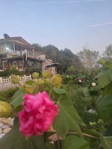 تصویر 22 - ویلا نیلوفر آبی در لنگرود