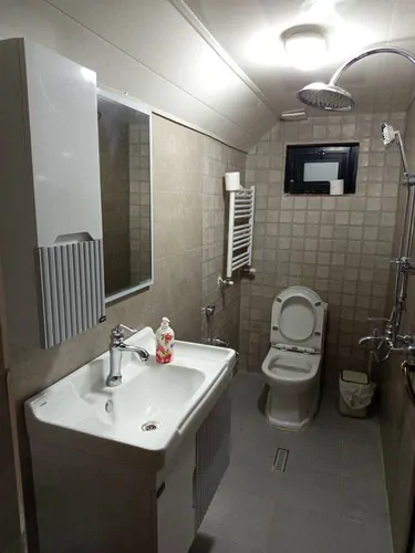 تصویر 14 - کلبه سوییسی سبز با جکوزی در  رامسر