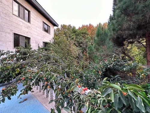 تصویر 2 - ویلا ویلای 6 خواب برغان در کردان