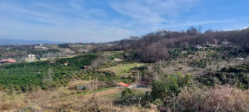 تصویر 14 - ویلا برکه با امکان ماهیگیری در  قائمشهر