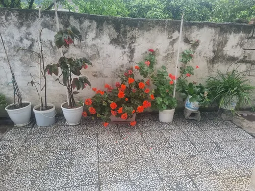 تصویر 24 - ویلا ستاره طلایی در  قائمشهر