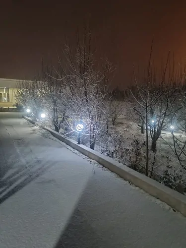 تصویر 5 - ویلا ویلا استخر اب گرم در  شیراز