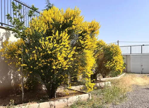 تصویر 14 - سوییت ویلایی اسکان در  قزوین