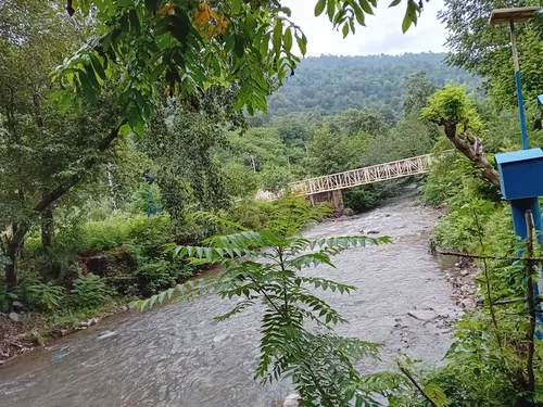تصویر 12 - ویلا جنگلی نیما در  ماسال