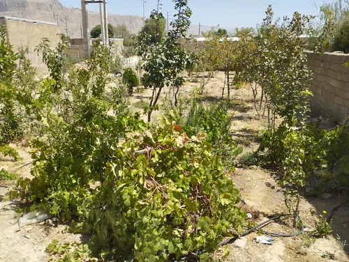 تصویر 5 - خانه منزل ویلایی پل نو در  مرودشت