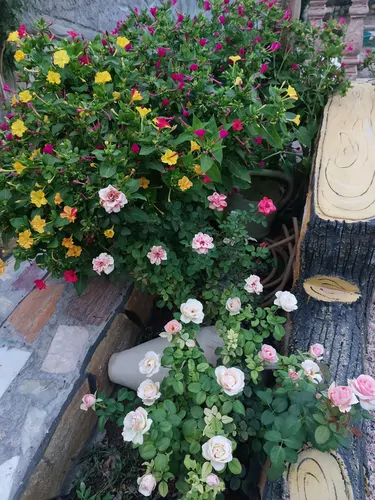 تصویر 30 - ویلا آتاباغی (1) در  اسکو