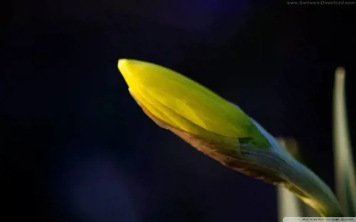 تصویر 14 - آپارتمان اقامتگاه تستی شرکت اتاقک در  سمنان