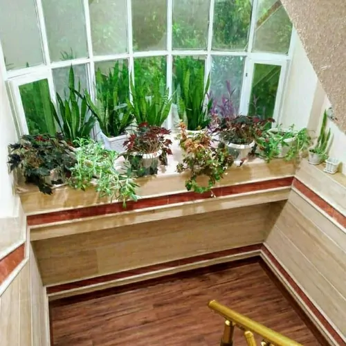 تصویر 15 - ویلا گلستان (طبقه بالا) در  شهسوار