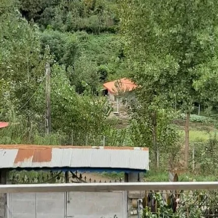 تصویر ۱ - ویلا  جنگلی علوی در  لاهیجان