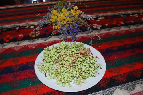 تصویر 4 - روستایی و عشایری جورگ(چهار نفره) در سپیدان
