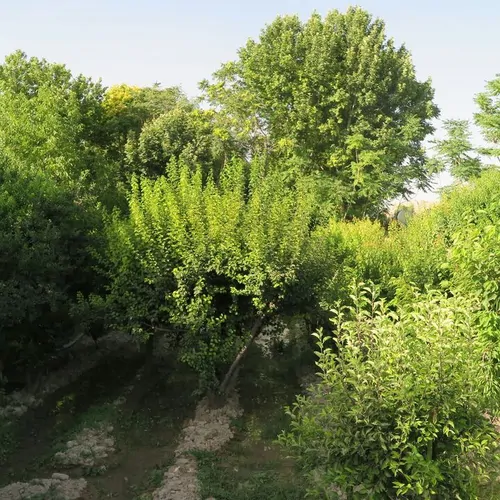 تصویر 2 - ویلا باغ ویلا در اصفهان