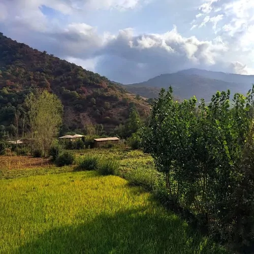 تصویر 13 - اقامتگاه بوم‌گردی جنگلی خورشید (طبقه اول) در  مینودشت