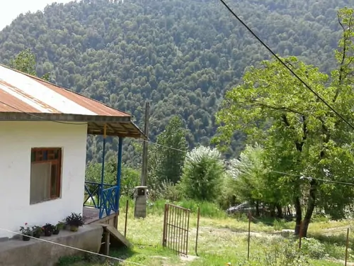تصویر 2 - ویلا جنگلی خروم در ماسال