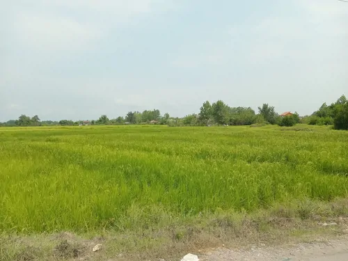 تصویر 19 - کلبه عالیجاه در  رشت