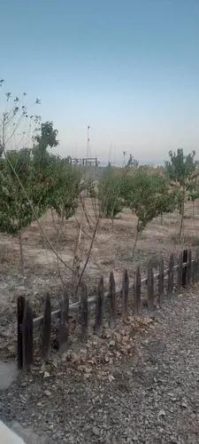 تصویر 4 - ویلا صدف طلایی در اراک