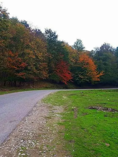 تصویر 6 - کلبه جنگلی سد زمزم(واحد2) در  شیرگاه