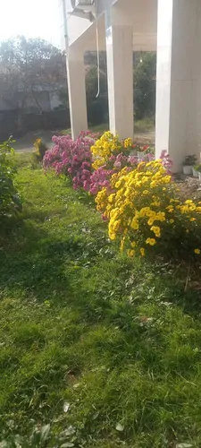 تصویر 15 - خانه ویلایی اردویی (1) در تالش