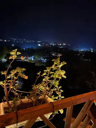 تصویر 32 - کلبه داتام  در  ماسال