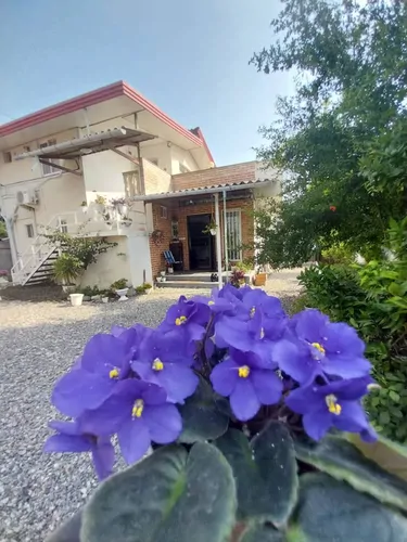 تصویر 10 - ویلا شمعدونی در رامسر